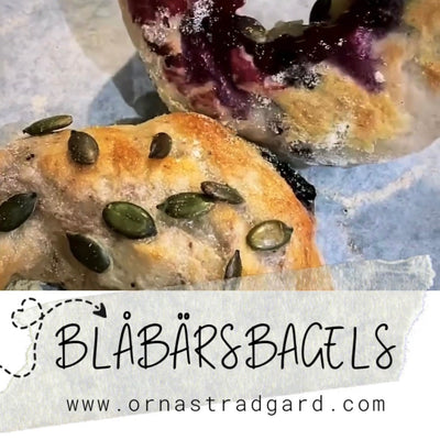 Bagels med blåbär